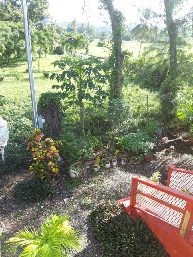 Tranquil Guest House Buccoo Extérieur photo