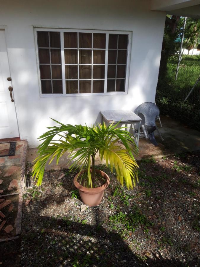 Tranquil Guest House Buccoo Extérieur photo