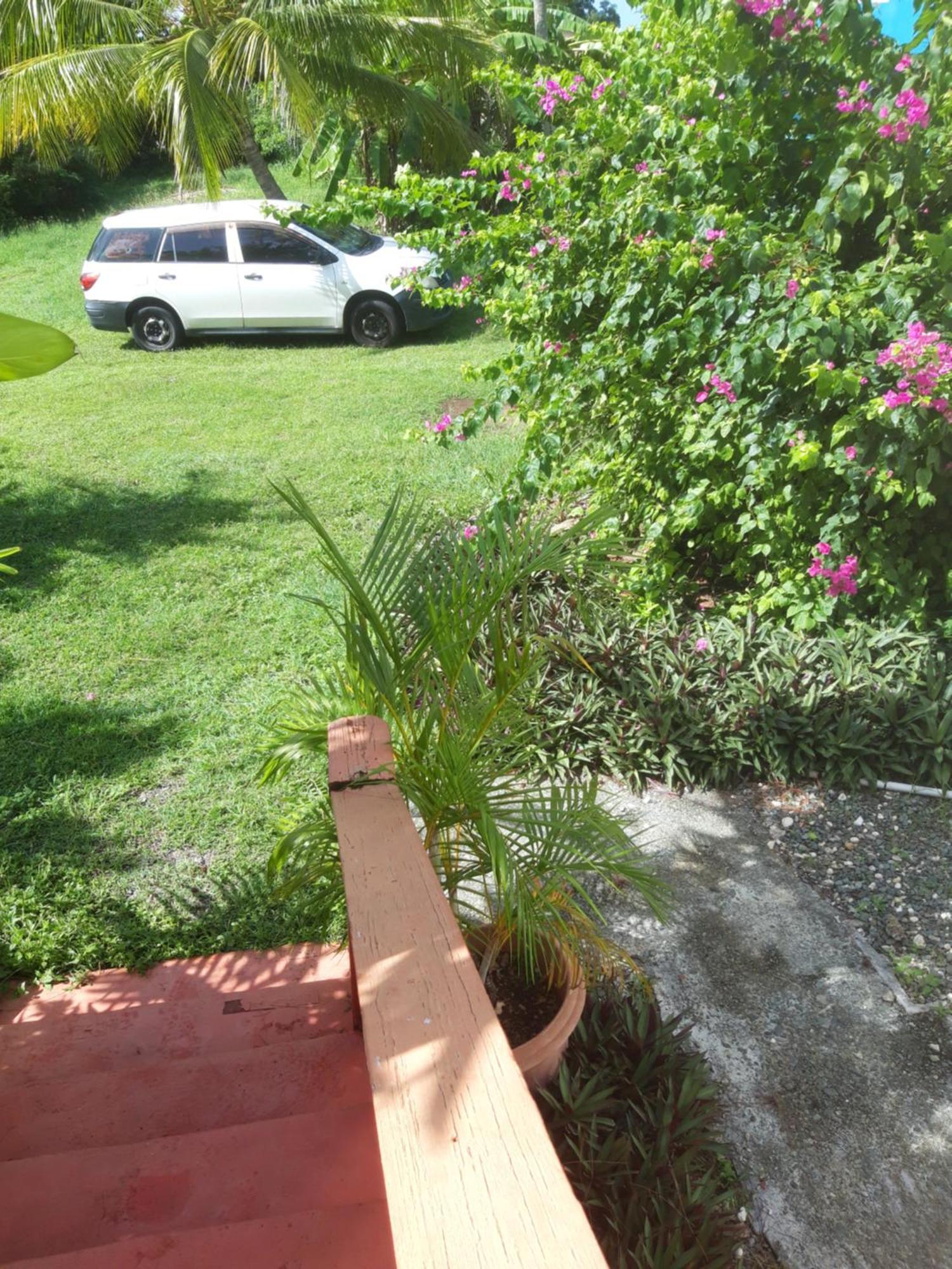 Tranquil Guest House Buccoo Extérieur photo