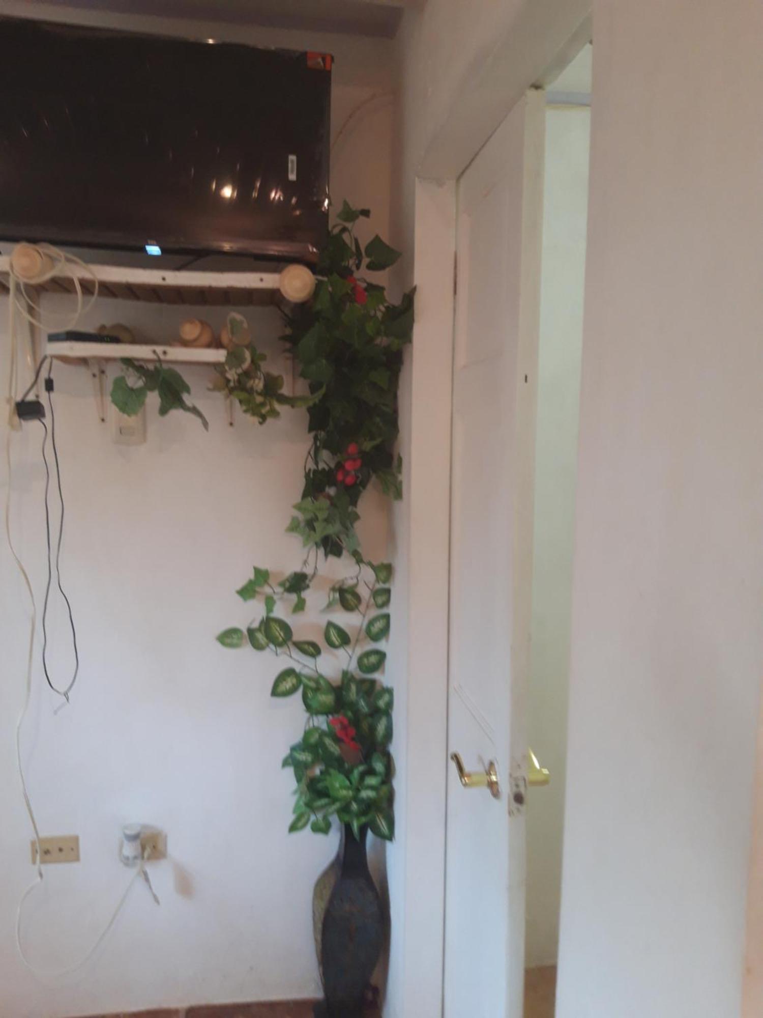 Tranquil Guest House Buccoo Extérieur photo